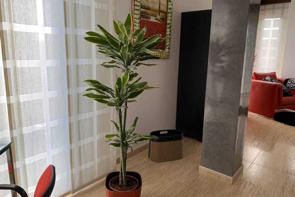 אלמזורה Apartamento Miramar . Amplitud Y Comodidad מראה חיצוני תמונה