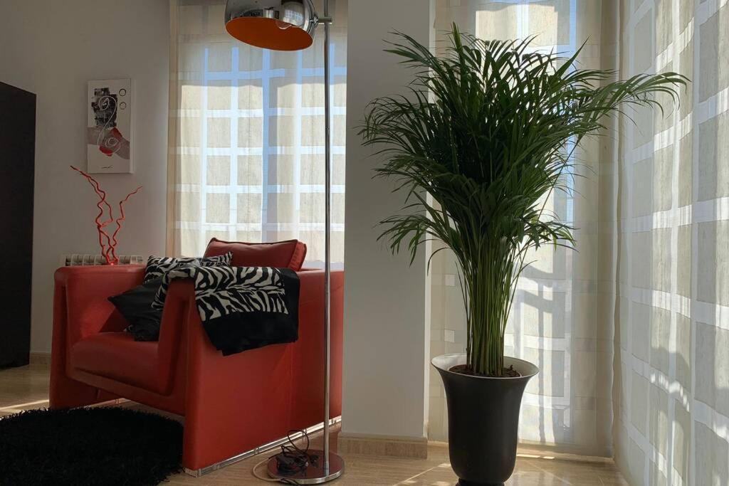 אלמזורה Apartamento Miramar . Amplitud Y Comodidad מראה חיצוני תמונה